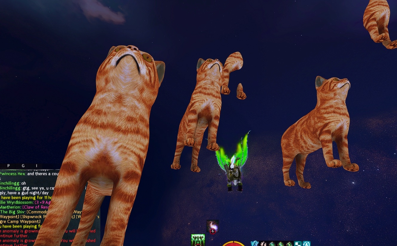 TaimiHUD's cat model testing